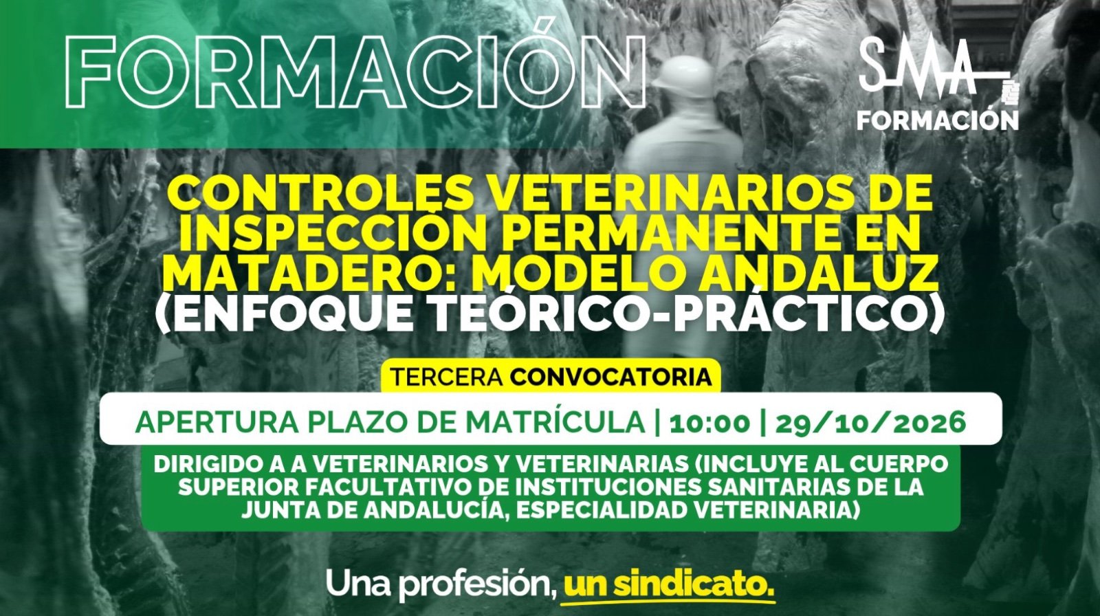Curso
